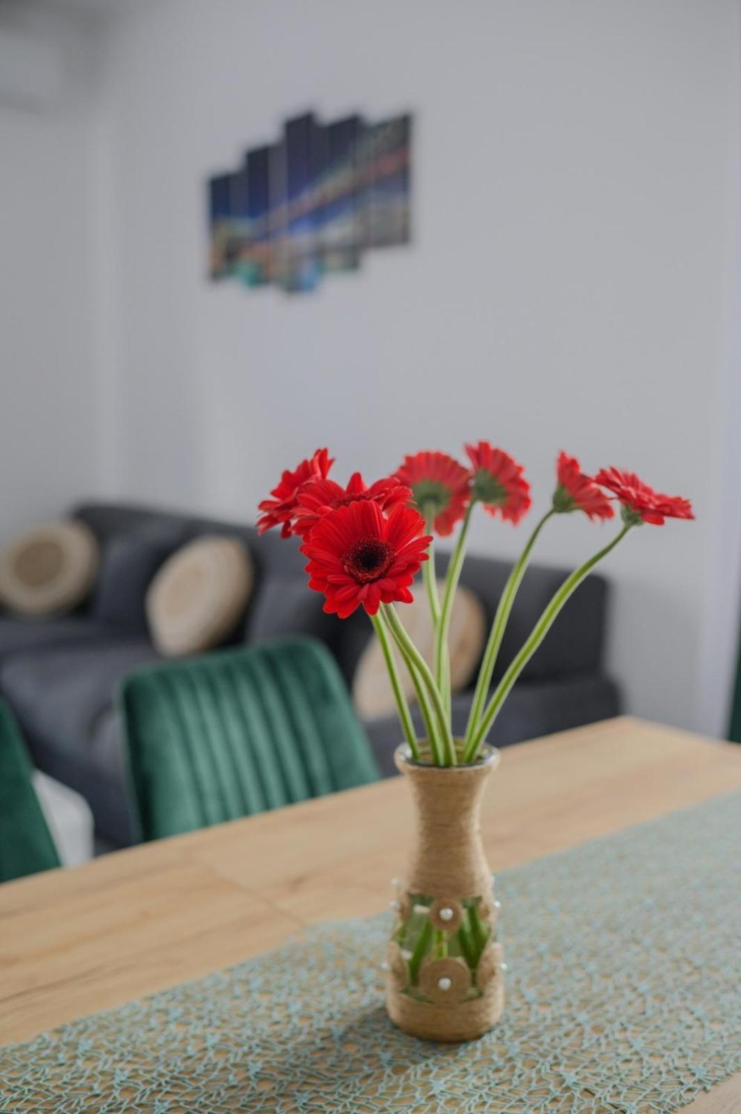 Apartament Radiana ไบเลเฟลิกซ์ ภายนอก รูปภาพ